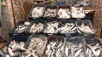 إرتفاع ملحوظ في أسعار الخضروات والأسماك اليوم الإثنين 7 اغسطس بكفرالشيخ