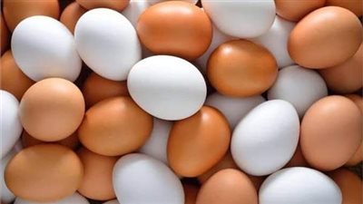 أسعار كرتونة البيض بجميع أنواعه اليوم الإثنين