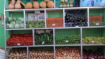 بإستثناء البصل والطماطم.. استقرار أسعار الخضروات والفاكهة بالفيوم 