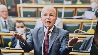 برلماني: الرئيس السيسي يتعامل بمنتهى الأبوة والإنسانية مع كل المصريين