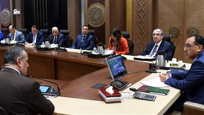 رئيس الوزراء يناقش إقامة محطة عملاقة للهيدروجين الأخضر بطاقة 400 ألف طن سنويًا 