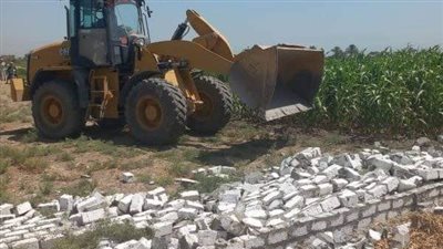 إزالة 19حالة تعد على أملاك الدولة بقروى الحلفاية بقنا 