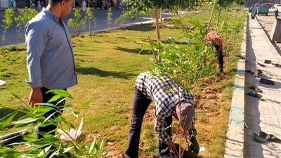 استمرار مبادرة أبوالمطامير الخضراء من خلال المشاركة المجتمعية 