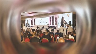 مطالب الطيور المهاجرة في مؤتمر المصريين بالخارج