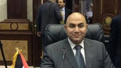 محلل سياسي: تأسيس الشركات عبر منصة إلكترونية موحدة تهيئ مناخ جاذب للاستثمار