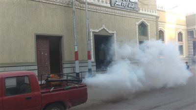 صحة الشرقية تكثف من نشاط مكافحة الذباب والبعوض وناقلات الأمراض 