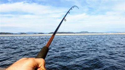 ألقت السنارة فأخرجت چوال كوكايين.. عمدة تصطدم بصيد مروع (فيديو)