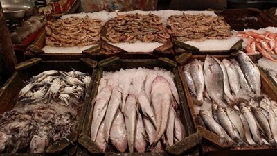 ارتفاع جنونى فى أسعار الأسماك ببورسعيد 