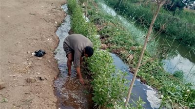 المنوفية تواصل تنفيذ المبادرة الرئاسية 