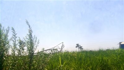  سقوط 7 أبراج كهرباء بنجع حمادي وانقطاع التيار