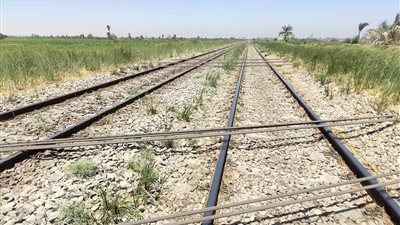 سقوط 7 أبراج كهرباء تسببت في فصل التيار الكهربائي بقنا