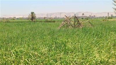 سقوط 8 أبراج كهرباء تربط بين خزان أسوان ومحطة نجع حمادي