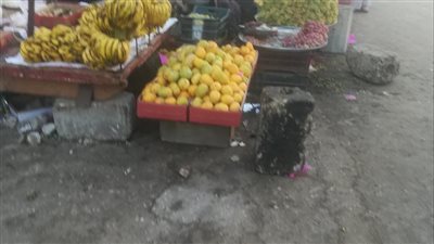 استقرار في أسعار الخضر والفاكهة بأسواق الفيوم 