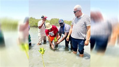نقيب الزراعيين: زراعة غابات المانجروف بالبحر الأحمر تسهم فى مواجهة مخاطر المناخ 