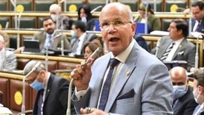 النائب السيد شمس الدين يطالب بمواجهة 