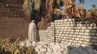 إزالة 3 حالات تعد على الأراضي بقنا