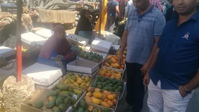 ارتفاع أسعار المانجو فى الفيوم ..