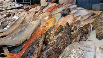 البلطي بـ62 جنيهًا .. أسعار السمك اليوم الاحد في سوق العبور 