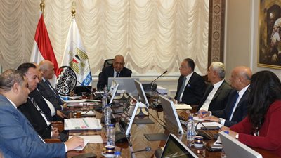 قطاع الأعمال: بدء تطبيق مشروع التحول الرقمي في 11 شركة.. و236 مليون جنيه وفرًا بالعقود الجديدة