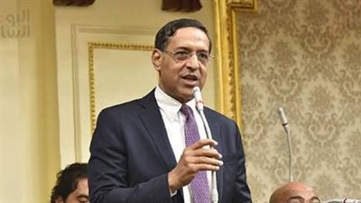 برلمانى : الاهتمام الرئاسى بالتوسع الزراعى يحقق يحقق الإكتفاء الذاتى من المحاصيل 