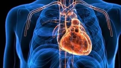 دراسة حديثة تكشف عن 9 أنواع من البلاستيك داخل قلب الإنسان