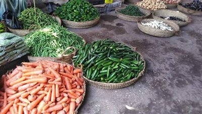 أسعار أسواق الخضار والفاكهة بأسواق قنا 