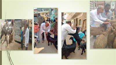 بيطري الشرقية يُشارك فى قافلة طبية وقائية مجانية بمنزل حيان 