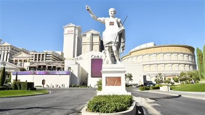 فنادق لوس أنجلوس تحت هجوم حشرات فتاكة