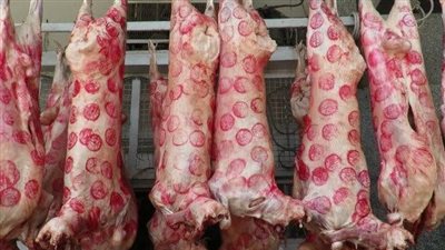 180 جنيهًا للكيلو أسعار اللحوم بالبحيرة اليوم الأربعاء 16 اغسطس 