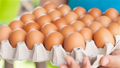 أسعار البيض صباح اليوم الأربعاء