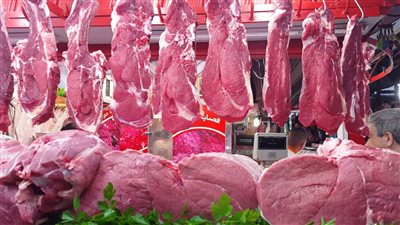 أسعار اللحوم اليوم الأربعاء بالمزرعة