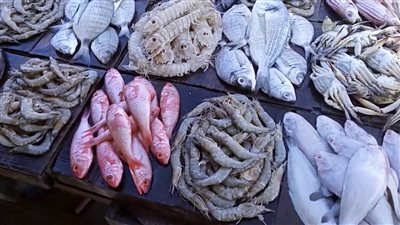 أسعار السمك اليوم الأربعاء بسوق العبور