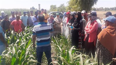 المركزي لبحوث الحشائش ينفذ تدريب صيفي لـ 258 طالبا من كليات الزراعة بالجامعات 