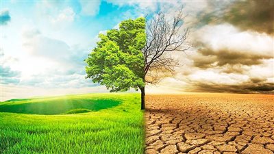 أستاذ مناخ: العالم يشهد تطرف واضح من قبل الظواهر المناخية (فيديو)