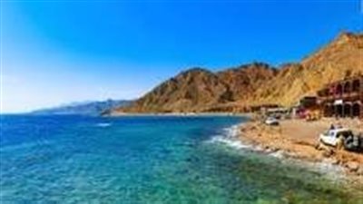 تعرّف على قرش شواطئ 
