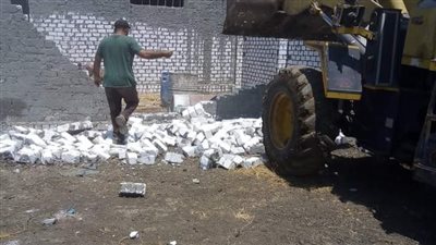 إزالة 12قيراطًا و13 سهمًا على الأراضي الزراعية بمركز المحلة 