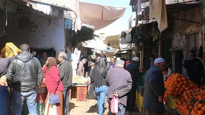 الطماطم بـ 4.5 جنيه .. أسعار الخضار بأسيوط اليوم الخميس 17 أغسطس 2023