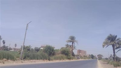  العظمى ٤٢ درجة .. طقس اليوم الخميس 17 اغسطس 2023 بقنا 