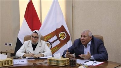 محافظ الوادي الجديد: استمرار تنفيذ مبادرة 