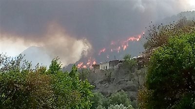 المغرب يعلن السيطرة بالكامل على حريق غابة مغراوة بعد 6 أيام