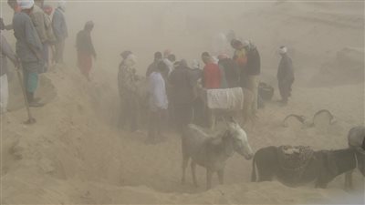 ثعابين وبكتيريا لاهوائية وكيماويات.. مخاطر تواجه الأثريين أثناء الحفائر 