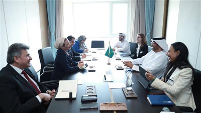 فؤاد: مصر على استعداد دائم لتقديم الدعم اللازم من خبرات للإمارات 