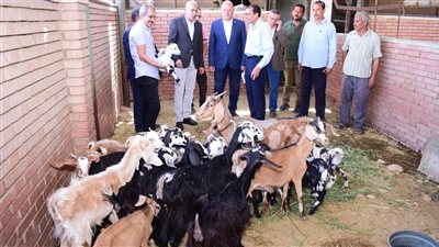 رئيس جامعة سوهاج يتفقد مزرعة كلية الزراعة ويؤكد على توسيع المساحات المنزرعة