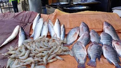 البلطي بـ78 جنيهًا.. أسعار الأسماك اليوم الجمعة بالجملة