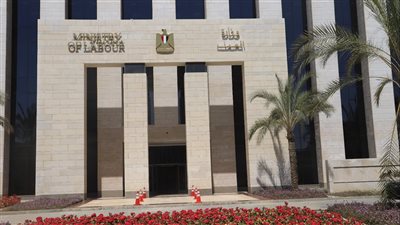 تشغيل 17803 شباب بجنوب سيناء.. ودعم غير مسبوق للعمالة غير المنتظمة (إنفوجراف)