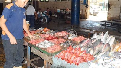 أسعار الأسماك اليوم الجمعة في سوق العبور للجملة.. 
