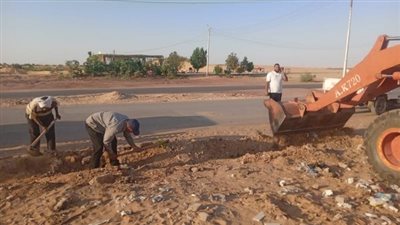 محلية الخارجة تواصل زراعة أشجار الظل بشارع طلعت ضرغام