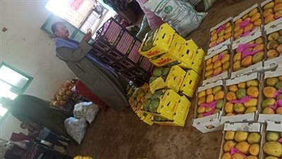 الداخلة: منفذ لبيع الخضروات بأسعار مخفضة بقرية غرب الموهوب 