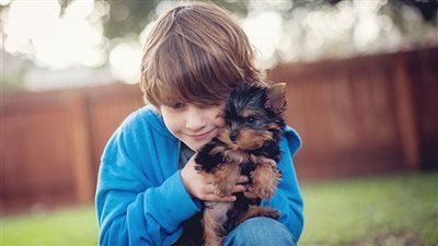 تنتقل عن طريق ملامسة الحيوانات.. أسباب الحمى النزفية الفيروسية