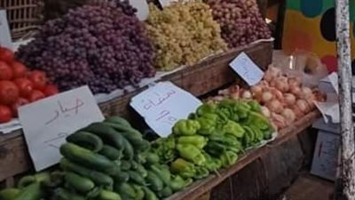تعرف على أسعار الخضراوت والفاكهة بـ أسواق قنا 